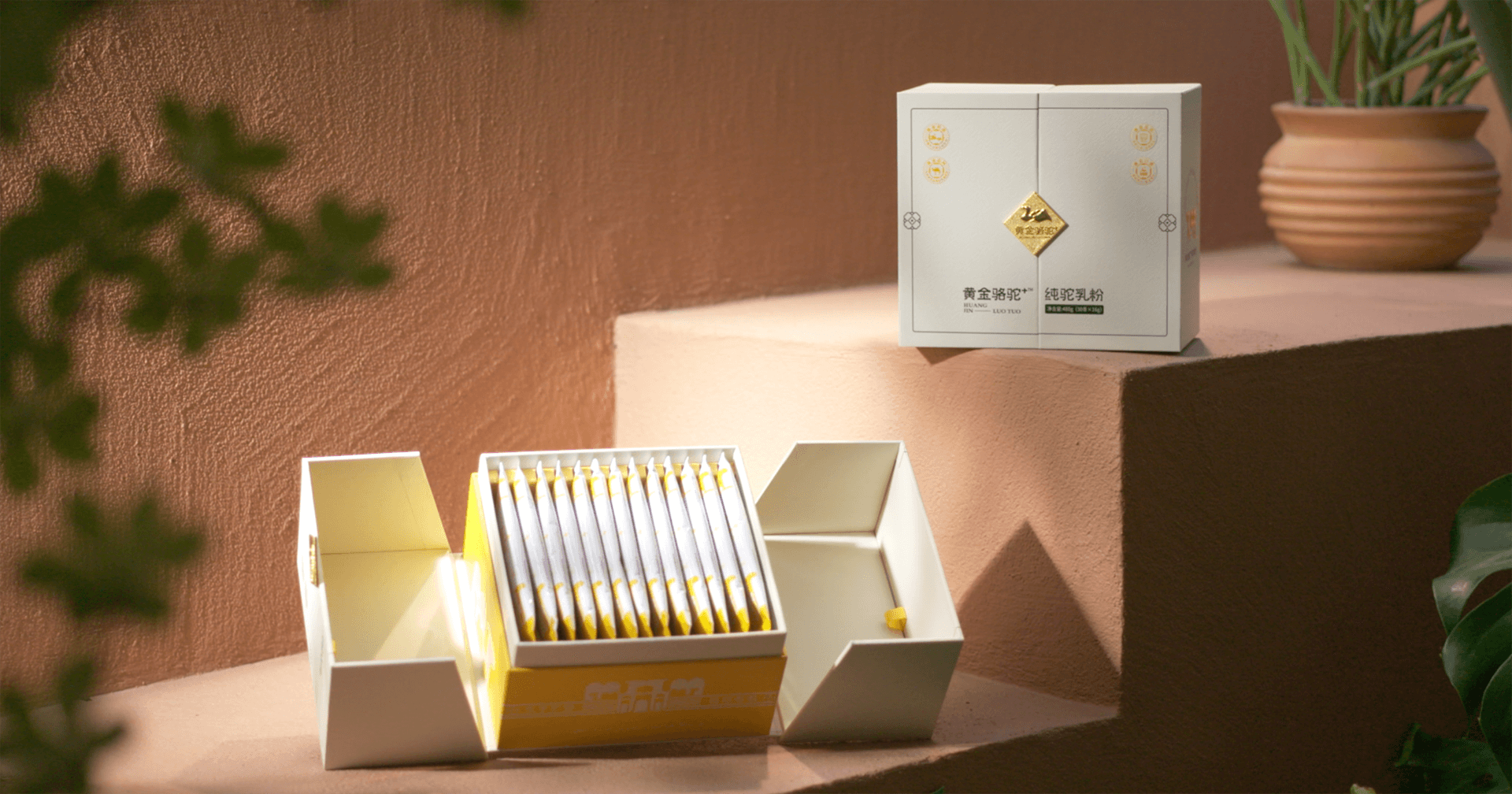 定位小众高端乳粉，jinnianhui今年会推出驼奶品牌“黄金骆驼+”，角逐乳品新市场！